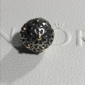 Authentic Pandora clip